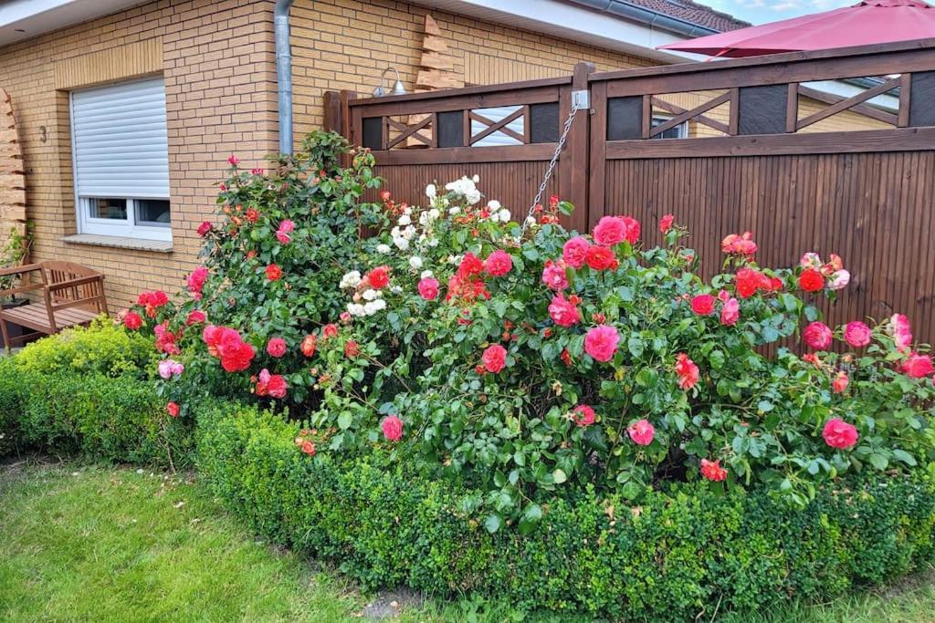 Fh Ostfriesland To Huus, Zw. Emden Und Greetsiel Villa Hinte Exterior foto